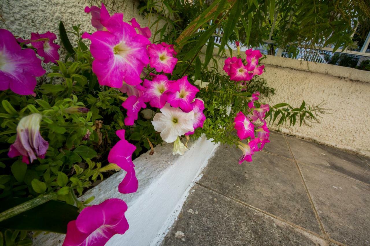 Marietta'S Townhouse Villa Argostoli  Ngoại thất bức ảnh